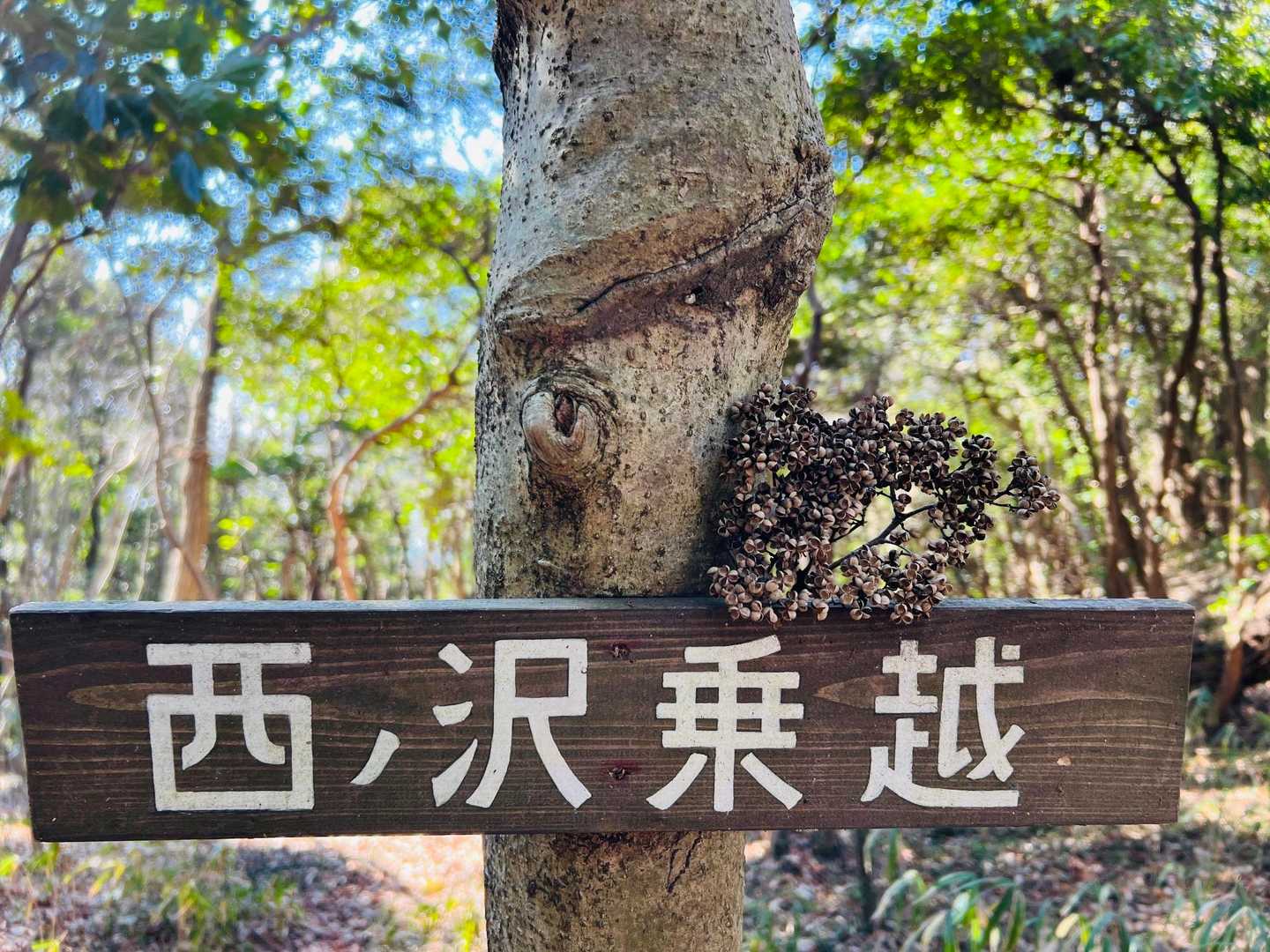 飾ってみたよ💚