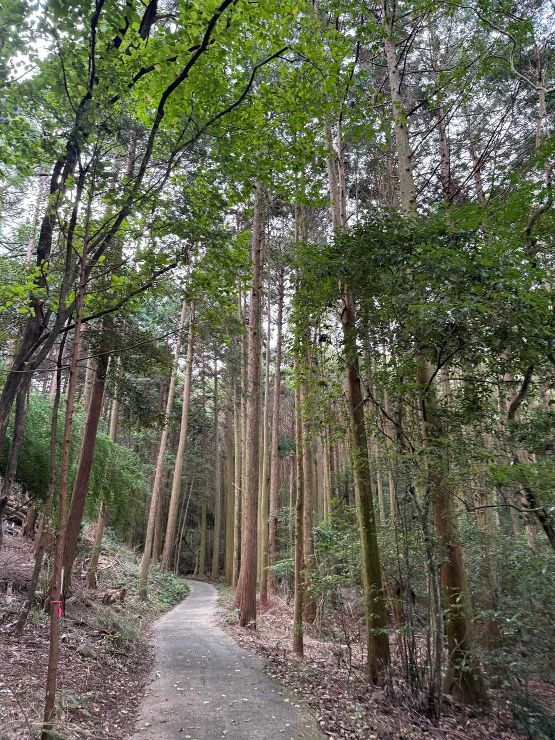 いい空気🍃