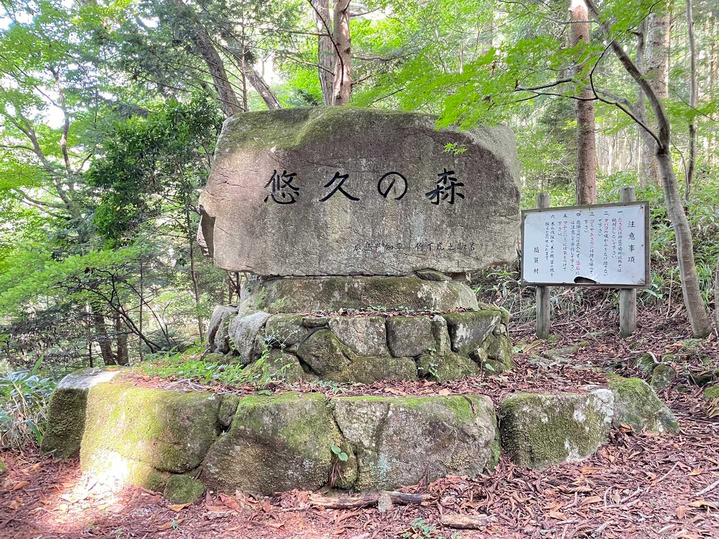 龍頭峡交流の森 森林館-天上山登山口-天上山 往復コースの写真