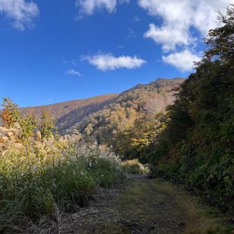 浅草の鐘🔔が、時おり聞こえてくる､､､
きっと下山されてきた皆さんも、我らと同じ気持ちに😊　鳴らしたくなる鐘🔔なのでした