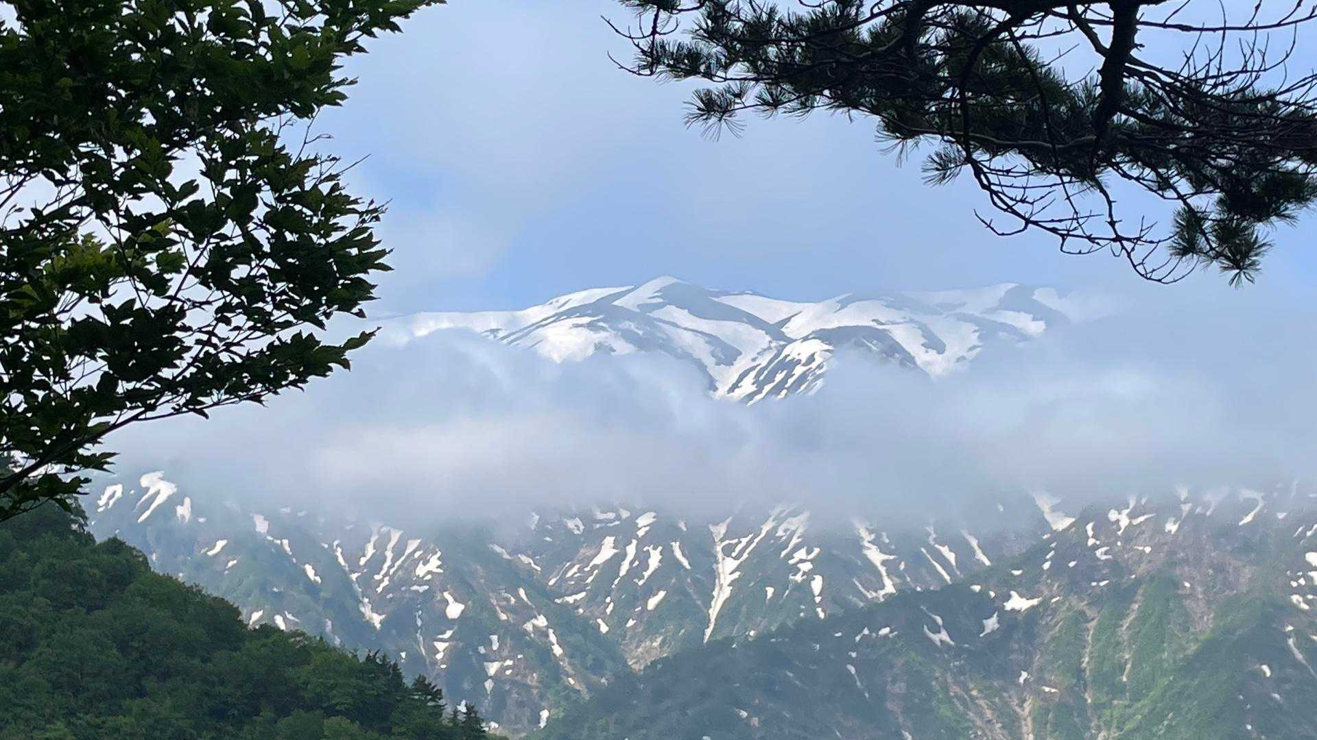 あっ！ガスが晴れてきた👏
幻想的…✨
こんな飯豊の姿はお初！
