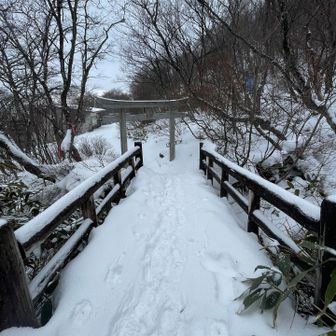 いろいろ考えて茶臼には行きませんでした。だけど、帰りには次々人が登ってきたので、やっぱり行けばよかったかなとちょっと後悔💦
