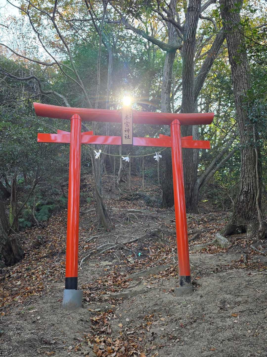 後光が指したような鳥居