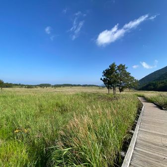 タデ原湿原。スゴイ規模だーーー😍
無事下山しました