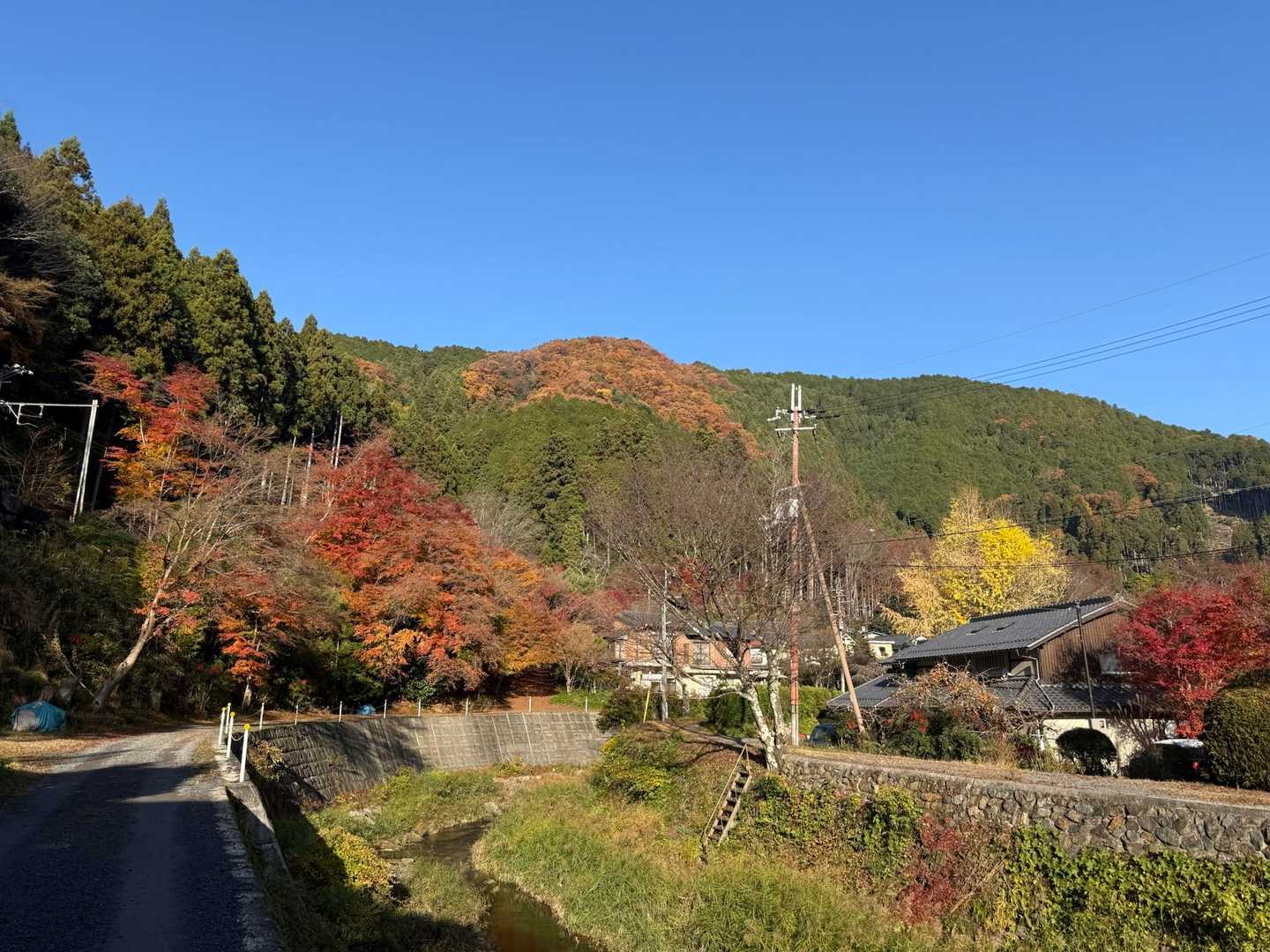綺麗やな〜😍
