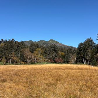 草紅葉と燧ヶ岳