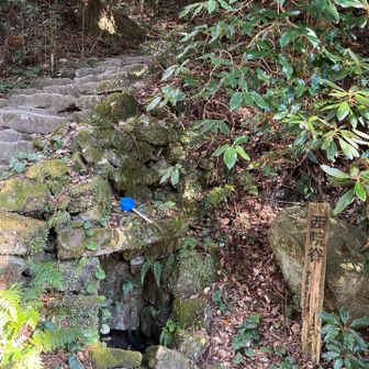 水は枯れてました