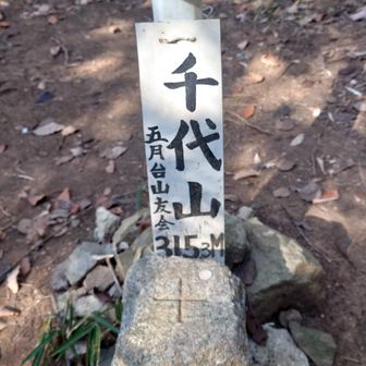 45回目の五月山
何か変わってる🤔