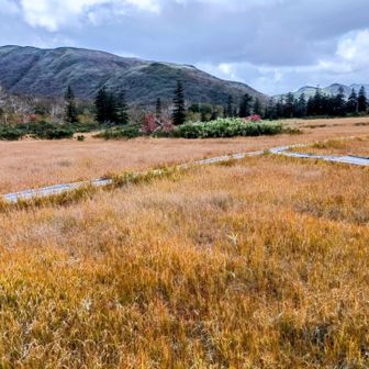神仙沼湿原の草紅葉
