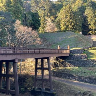 居館につながる曳橋