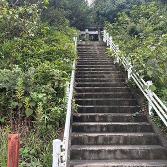 ここを上がると