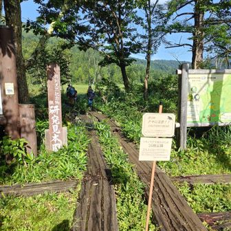 ここから開始。