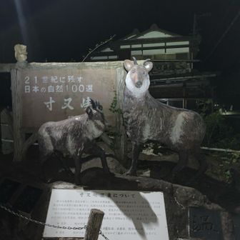 久しぶりの寸又峡
今回も千頭ダムまでは自転車を利用しました