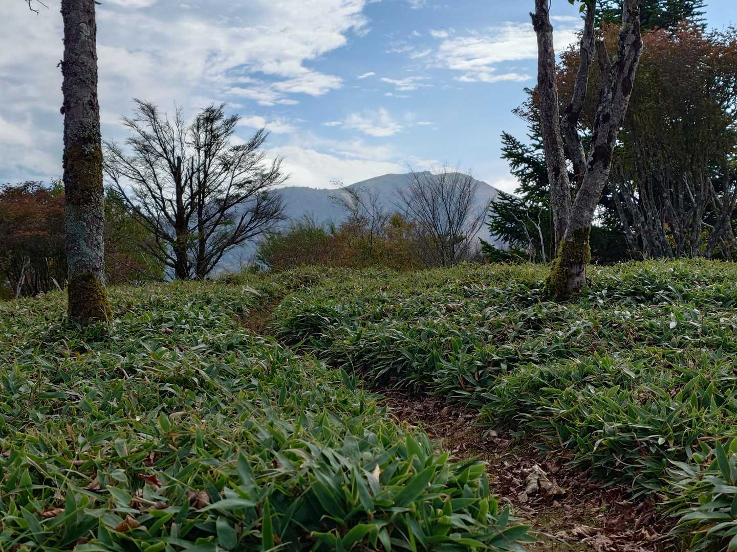 丸笹山-赤帽子山 周回コースの写真