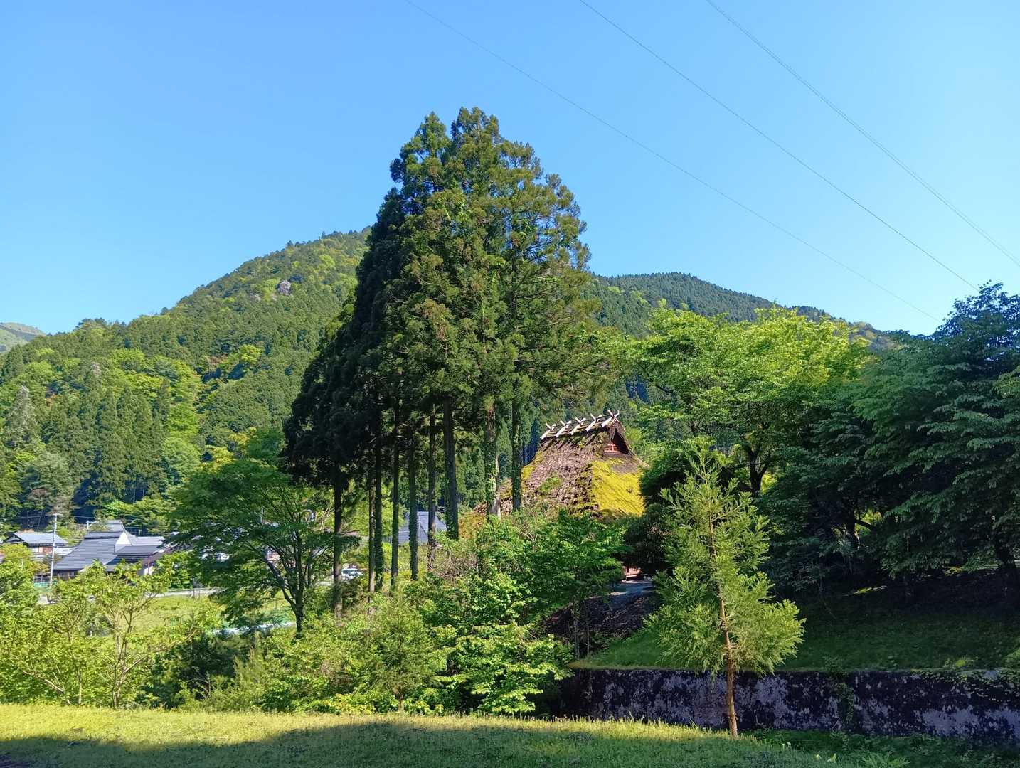 のどかな風景🍃