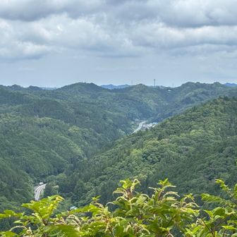砂羅向山山頂から眺めた国道293号線（宇都宮方面）。ネットで調べたところ、写真中央少し右に見える塔付近は花立自然公園のようです。