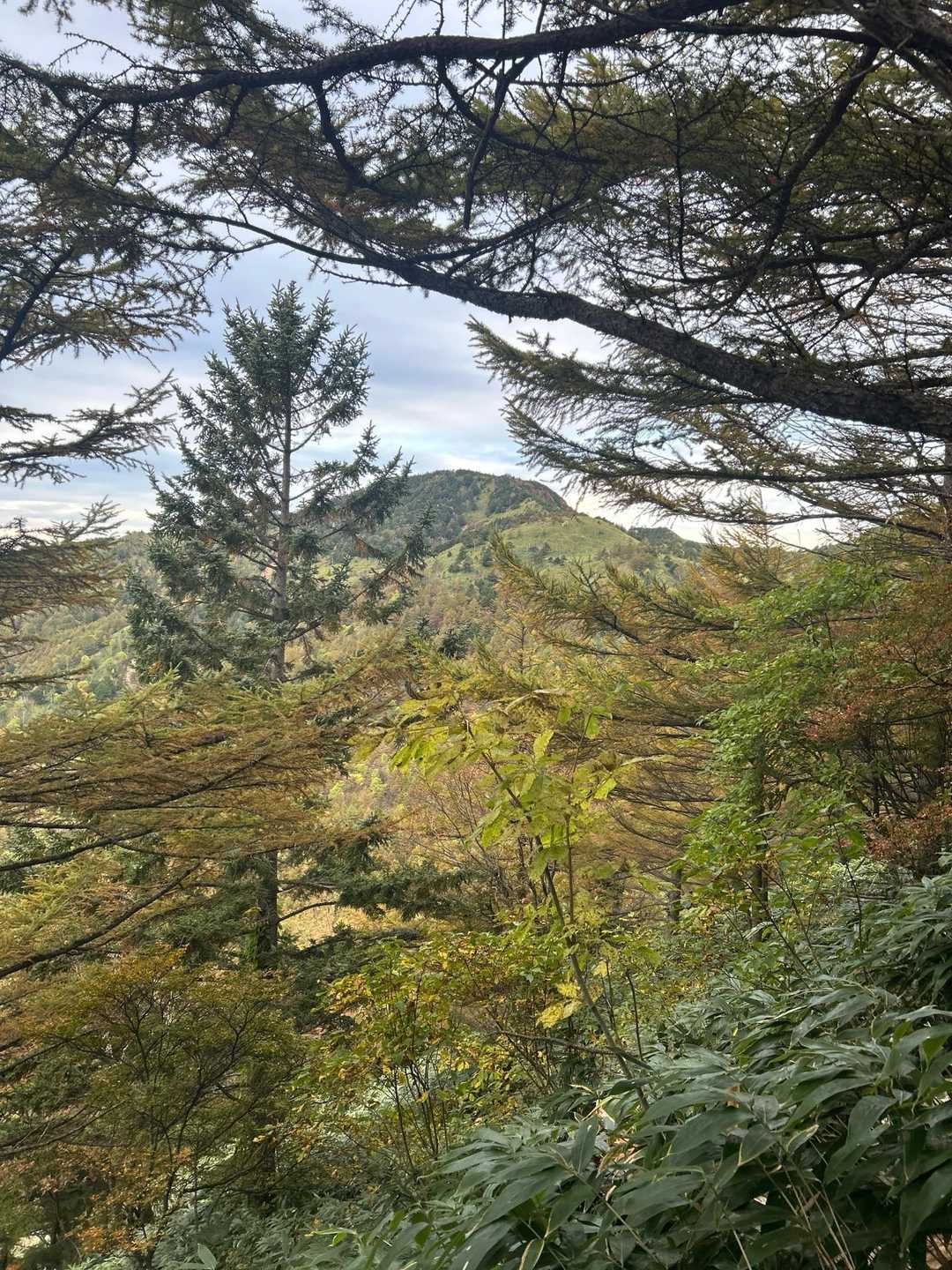 恵那山