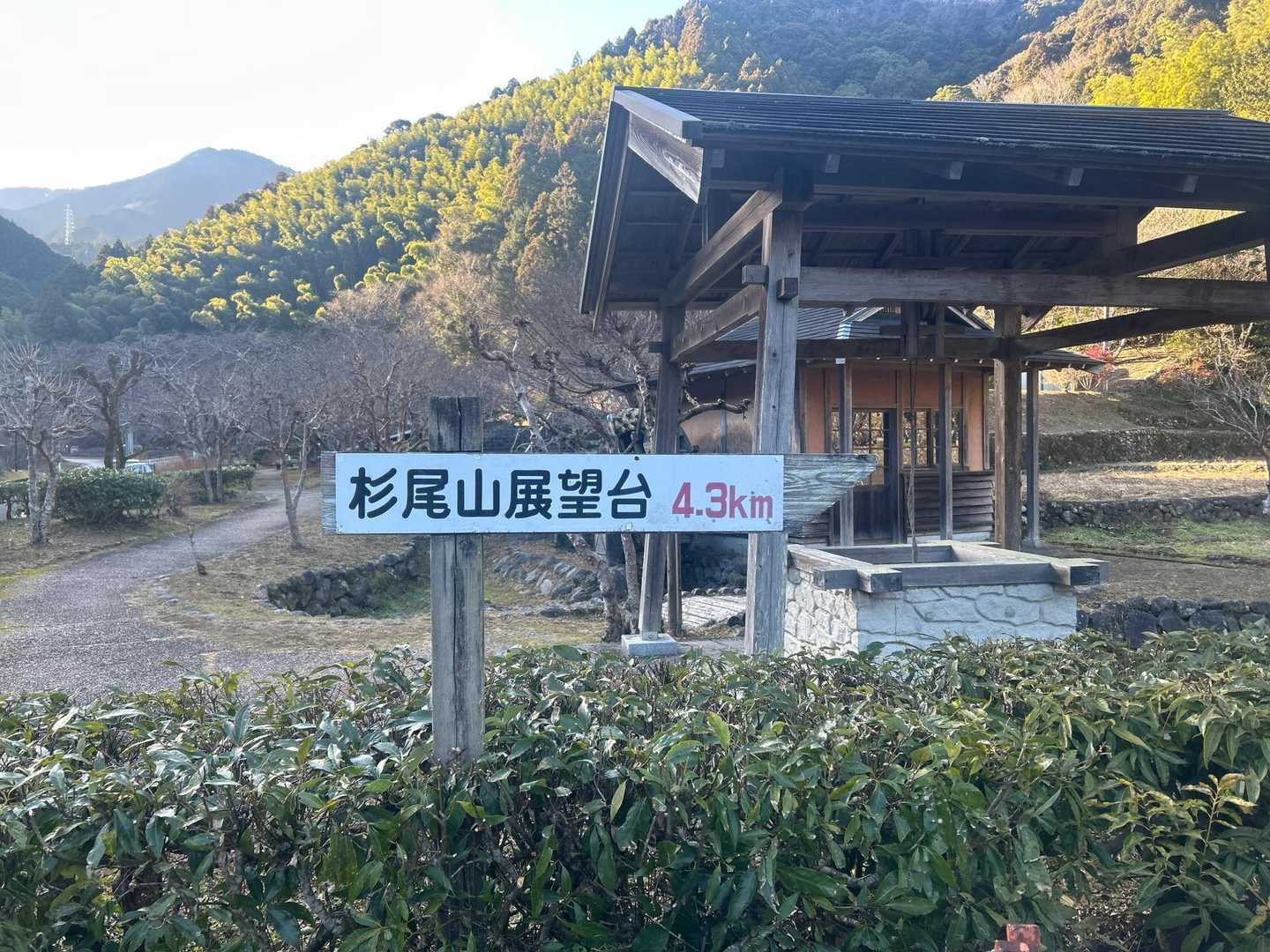杉尾山 往復コースの写真