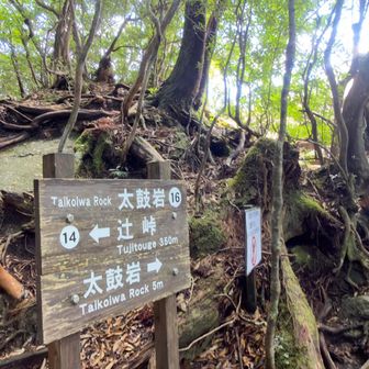 太鼓岩へザックをデポして周回