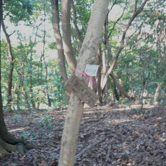 十座目、古志の嶺