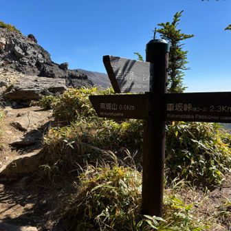 下山はこの看板を右に周り🅿️方面へ進みます