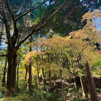 さ、下山しよー
本日2人目の山友さん(和歌山在住)とバッタリ❣️