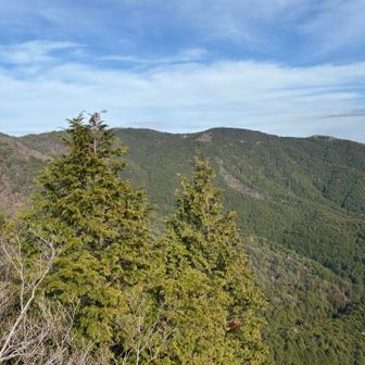先ほど歩いた小掛山