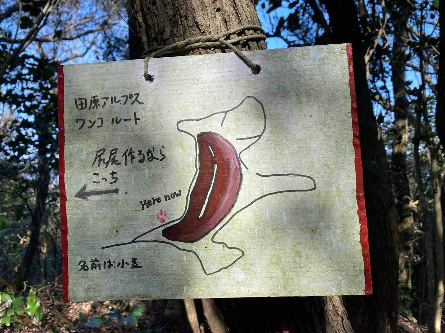 ワンコルート
もうすぐしっぽ