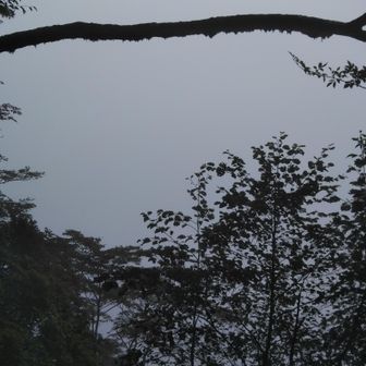 今日の洞富士