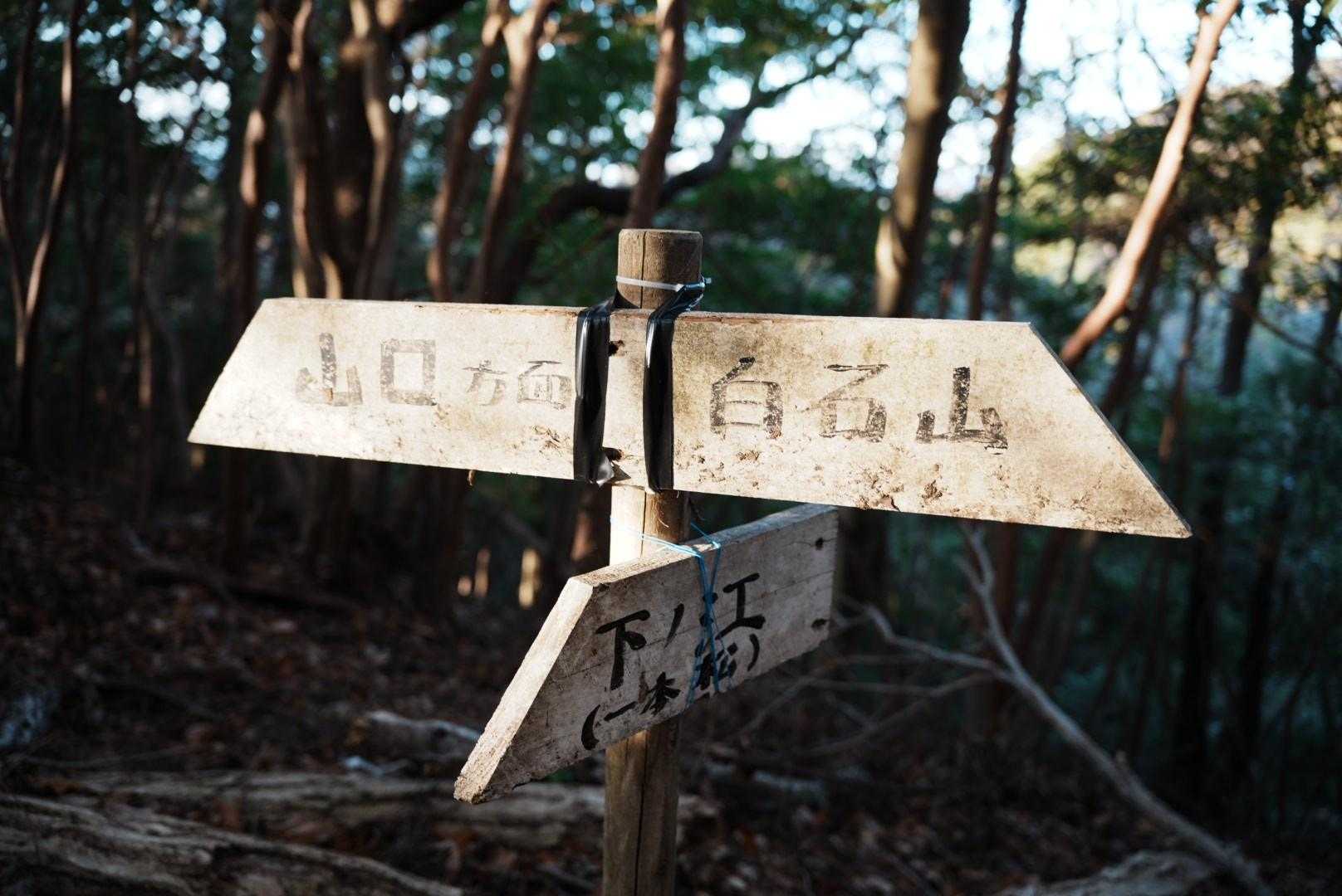 一本松峠-白石山-トギシ山 往復コースの写真
