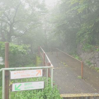 女体山の方が高くて877m、ロープウエイ山頂駅降りてから180m。