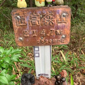 山頂🪧仲間が増えてる? 😊