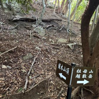 分岐の少し前で暑さのあまり、一旦休憩。「もうすぐ分岐やのに」と呆れられても暑い時は🫠溶けちゃうんよ。