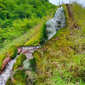 龍神の池のお水の出口。
湧き水が供給され、ここから出ていくようですね。