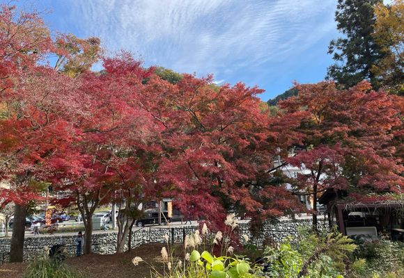 草戸山（東京・神奈川・364m）| 登山ルート・天気 | YAMAP / ヤマップ