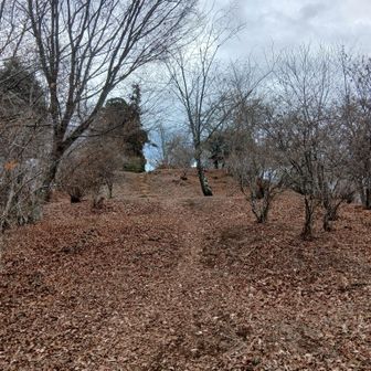 もうすぐ要害山山頂　多分城山か砦だったことがうかがえる雰囲気