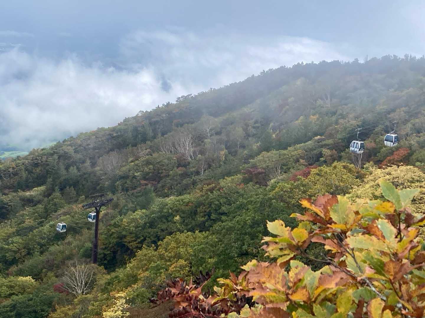 薬師岳から