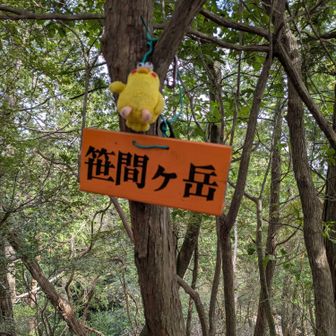 🚩久し振りの笹間ケ岳に登頂です🙌ヽ(=´▽`=)ﾉ
相棒もお疲れ様💕♪