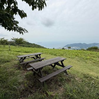 今回のランチ会場です
⚠️トンビに注意