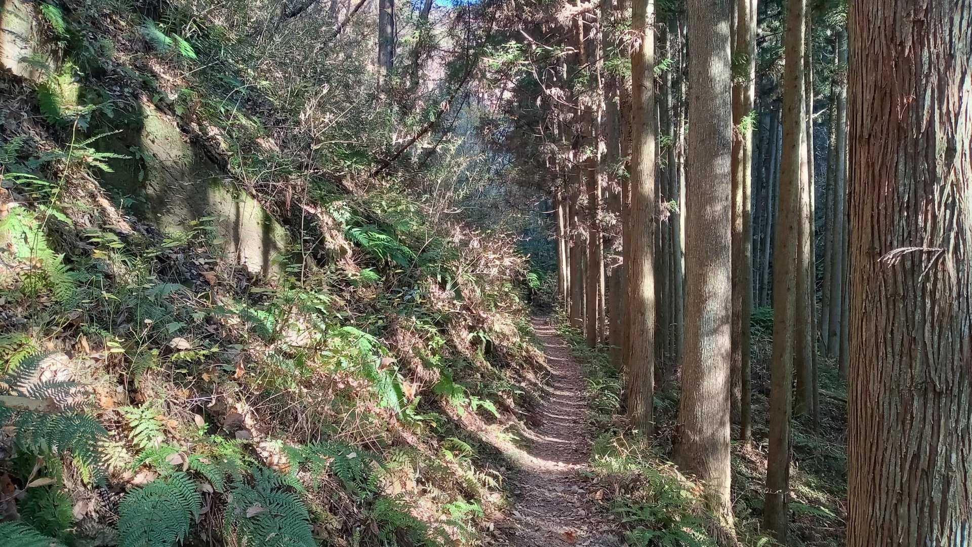 気持ちイイーー😆