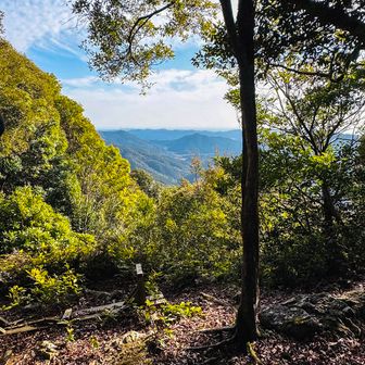 
休憩ポイントも まぁまぁいっぱいある
暖かくて、この山々に来て良かったなあー…ってつくづく思う気持ちいい山です
