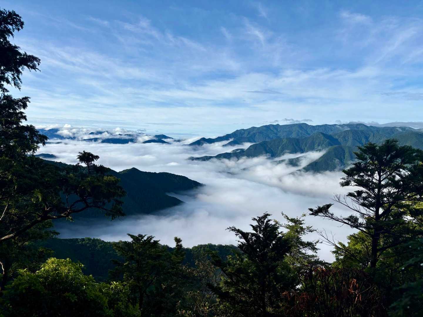 そして開けた南側に広がる雲海！*\(^o^)/*絶景です！思わずため息が出る…