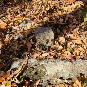 お宝山
すごい名前ですね