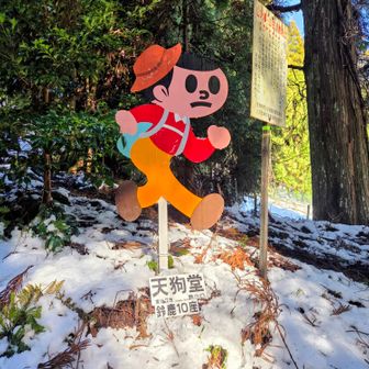 神社の登山口へ下山。神社下の階段でチェーンスパイクを外そうと前にかがんだら、もも裏の内側の筋が両方つりました。水分補給と姿勢の変化が関係してるようです。帰途、車で日野から伊賀へ抜けます。飛び出し坊やがたくさんあります。忍者の飛び出し坊や もありました。オリジナルな飛び出し坊やもあり、飛び出し坊や愛を感じる道路です😊