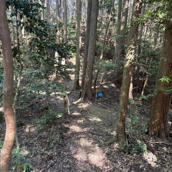 また鐘が。