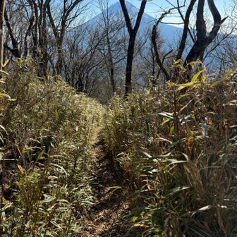 いやしの里根場登山口駐車場まで下ります