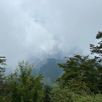 ちょっと山見えた⛰️