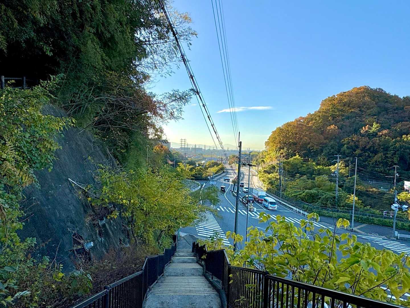 登山口まで戻って朝活終了✅
空気の冷たさと鳥の囀りに癒されました🙂‍↕️