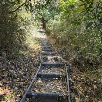 アップダウンはこのような階段が多いので、落ち葉で滑りやすいこの時期はありがたい