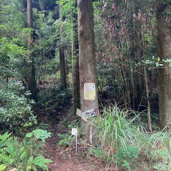林道抜けて、登山口